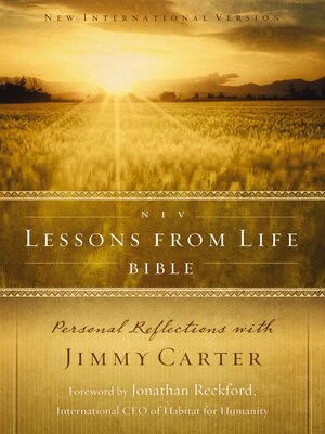 cover image of NIV Lessons from Life Bible